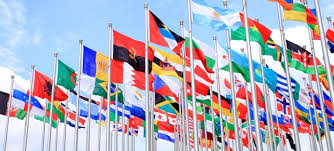 Top 5 In-Demand Courses to Study at IFATOSS University